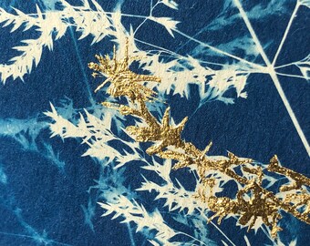 Goldleaf details on grass leave cyanotype print