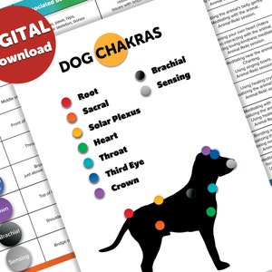 Afdrukbaar hondenchakra | Chakrapunten hond | Dierenchakra | Genezingstabel voor hondenchakra | Digitale download | Chakrapunten huisdier | Afdrukbaar