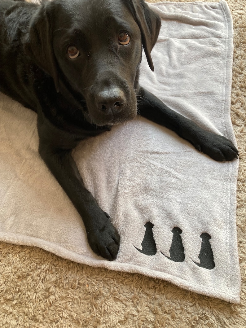 Silver Grey Dog Blanket: Embroidered Labrador Puppy Throw image 1