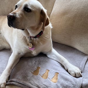 May include: A yellow Labrador Retriever dog laying on a gray throw blanket with an embroidered design of three birds. The dog is wearing a red collar with a pink tag.