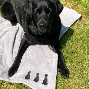 Silver Grey Dog Blanket: Embroidered Labrador Puppy Throw image 6