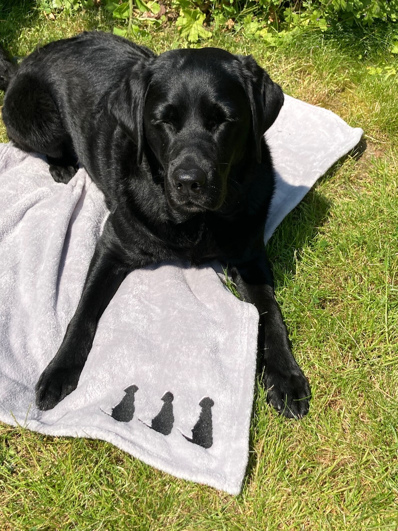 Silver Grey Dog Blanket: Embroidered Labrador Puppy Throw image 6