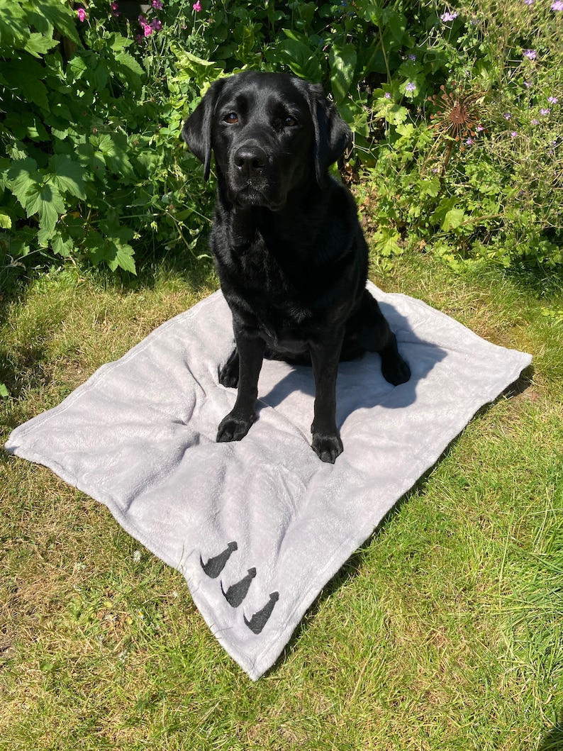Silver Grey Dog Blanket: Embroidered Labrador Puppy Throw image 3