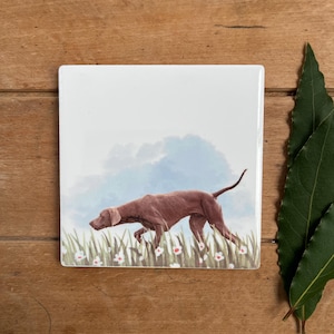 Weimaraner Dog Ceramic Coaster, Floral Scene