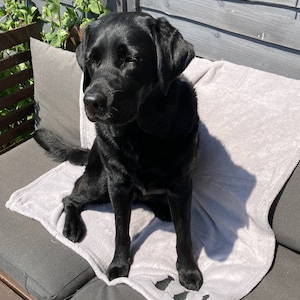 Silver Grey Dog Blanket: Embroidered Labrador Puppy Throw image 9