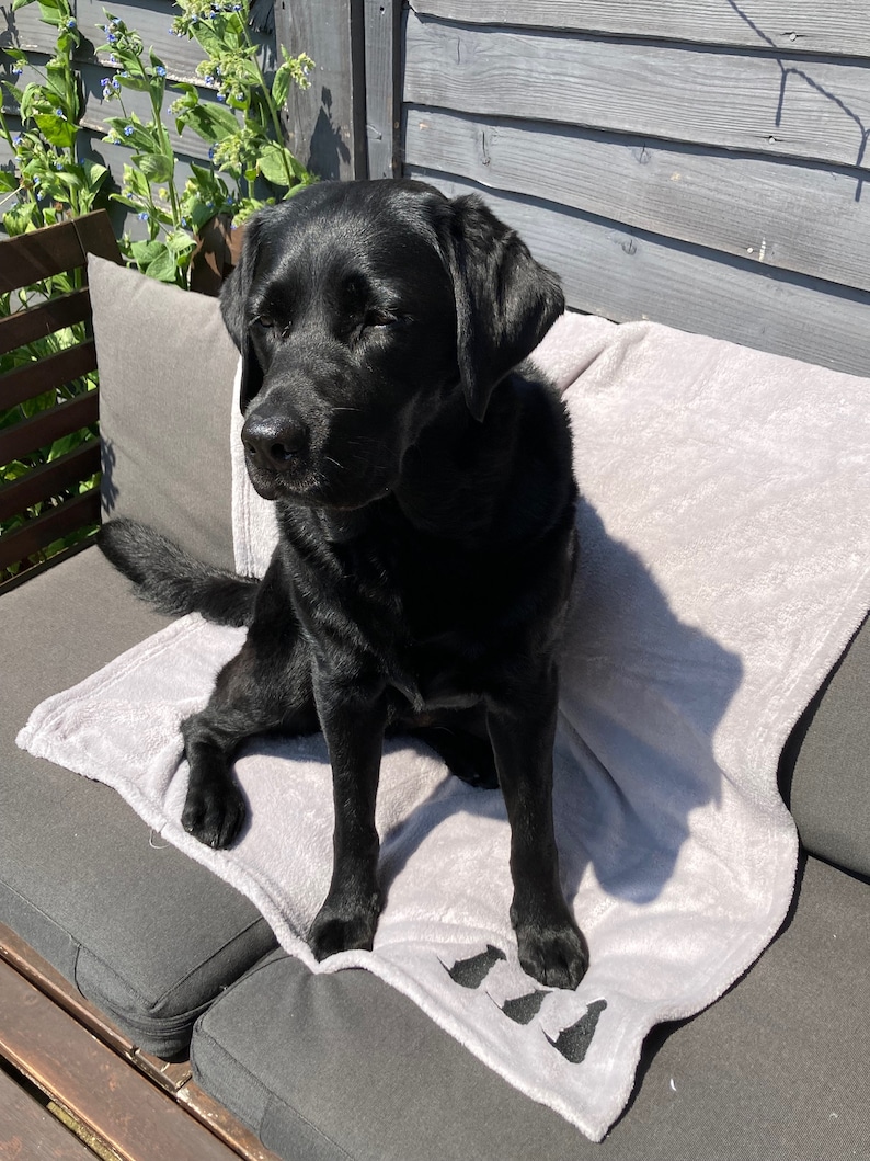 Silver Grey Dog Blanket: Embroidered Labrador Puppy Throw image 9