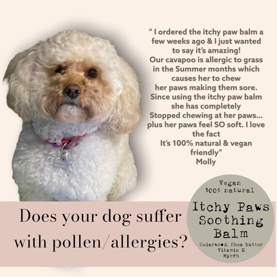 How To Make Dog Nose Balm