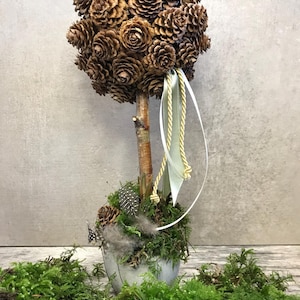 Spring Magic: Larch Cone Tree