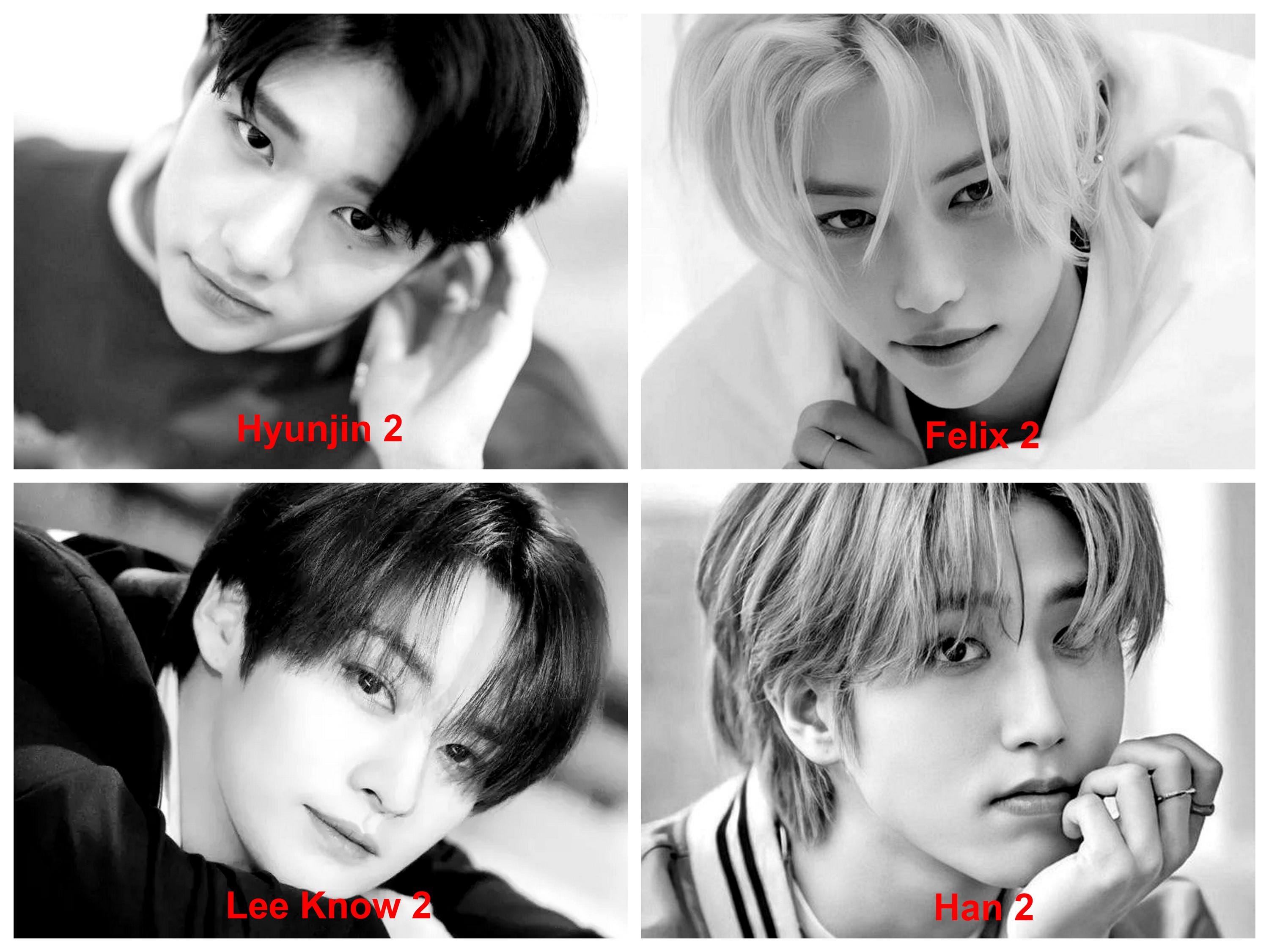 stray kids ウルトラミルク ハク 箔 コンプ8 Stray Kids x ULTRA MILK