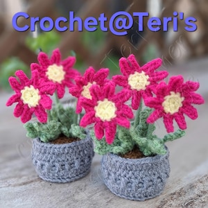 Peut inclure: Deux arrangements floraux au crochet. Chacun présente des fleurs rose vif avec des centres jaunes, des feuilles vertes et des pots gris. Le texte "Crochet@Teri's" est au-dessus des fleurs en bleu.