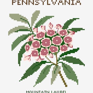 Pennsylvania - Mountain Laurel - State Flower Print - Digital Print - Floral Print - Printable