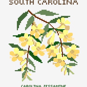 South Carolina - Carolina Jessamine - State Flower Print - Digital Print - Floral Print - Printable