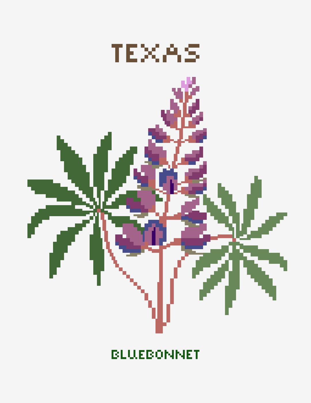 Texas - Bluebonnet - State Flower Print - Digital Print - Floral Print ...