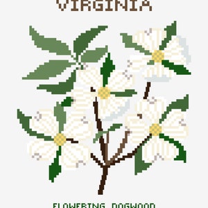 Virginia - Flowering Dogwood - State Flower Print - Digital Print - Floral Print - Printable