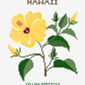Hawaii - Gelber Hibiskus - State Flower Print - Digitaldruck - Blumendruck - Printable