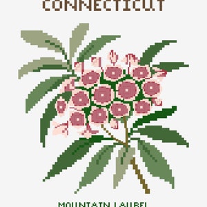 Connecticut - Mountain Laurel - State Flower Print - Digital Print - Floral Print - Printable