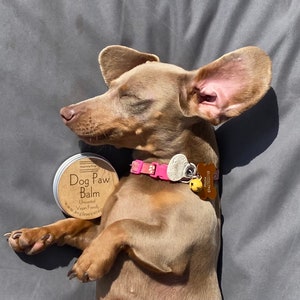 French Nose Balm Etsy UK