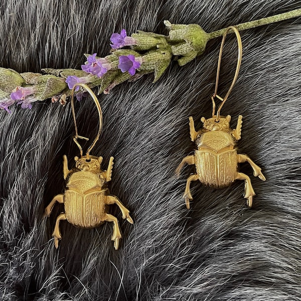 Small Gold Brass Scarab Beetle Earrings, Handmade Insect, Gold Plated Kidney Ear Wires