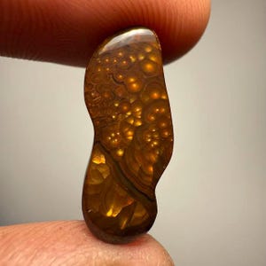 Puede incluir: Una gema pulida en forma de lágrima con una rica y cálida paleta de colores. La piedra presenta un patrón complejo de burbujas y remolinos de color marrón dorado, creando una textura orgánica única. La gema se sostiene entre dos dedos.