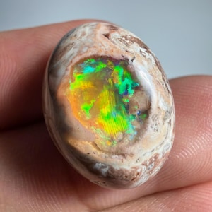 Op de afbeelding: Een gepolijste, ovaalvormige opaal edelsteen. De steen heeft een wervelend patroon van bruin, beige en wit, met een levendig centrum dat iriserende flitsen van groen, geel en blauw vertoont. De opaal wordt in een hand gehouden.