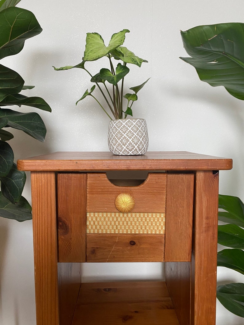 May include: A wooden end table with a single drawer and a lower shelf. The drawer has a woven pattern and a gold knob. A potted plant with green leaves sits on top of the table.