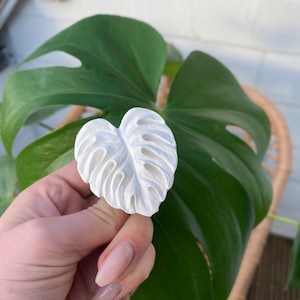 Könnte beinhalten: Weißer Monstera-Blatt-Anhänger aus Keramik. Das Blatt ist mit erhabenen Adern und Ausschnitten verziert.