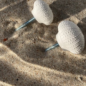 May include: Two white ceramic knobs with a textured surface resembling a sea urchin. The knobs have silver metal screws.