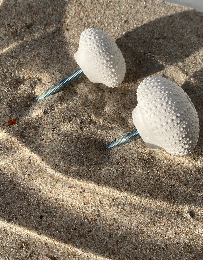 May include: Two white ceramic knobs with a textured surface resembling a sea urchin. The knobs have silver metal screws.