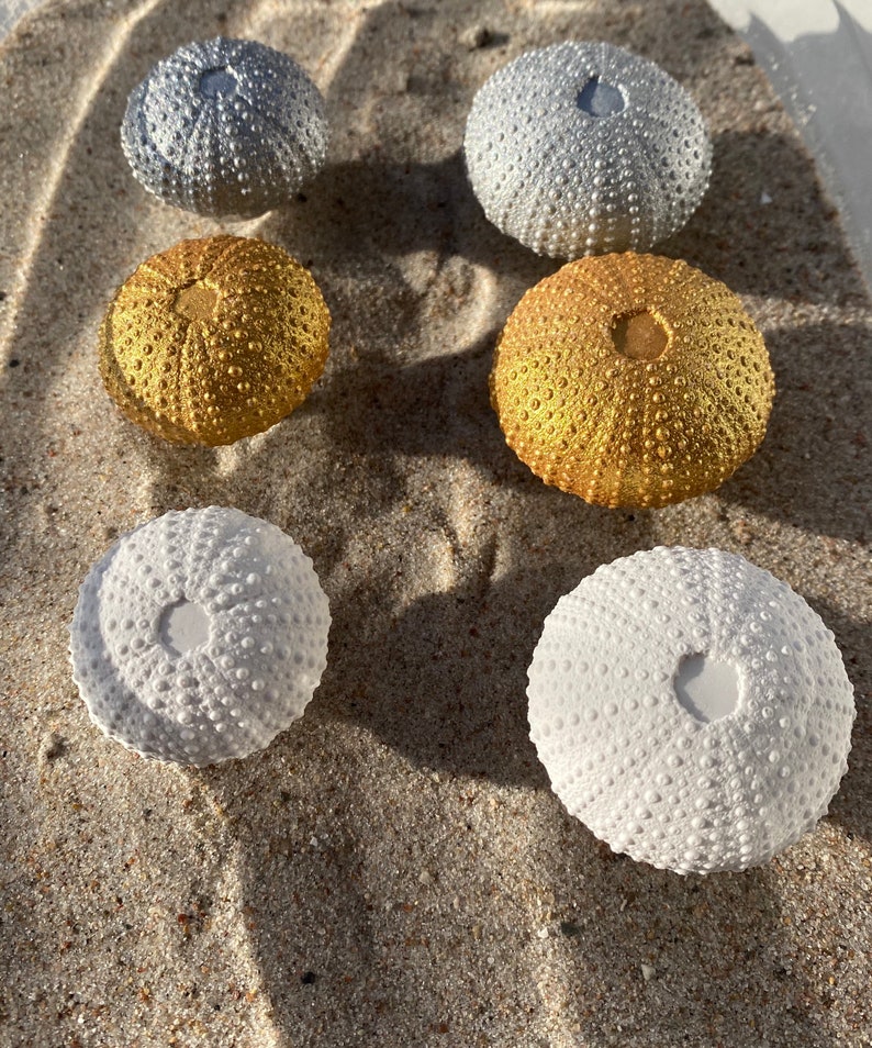 May include: Five sea urchin ornaments in different colors. Two are silver, one is gold, and two are white.