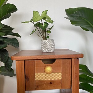 May include: A wooden end table with a drawer and a lower shelf. The drawer has a gold knob and a woven pattern on the front. A potted plant with green leaves sits on the top of the table.