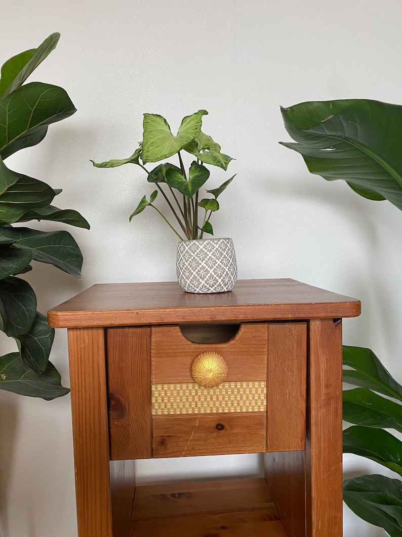 May include: A wooden end table with a drawer and a lower shelf. The drawer has a gold knob and a woven pattern on the front. A potted plant with green leaves sits on the top of the table.