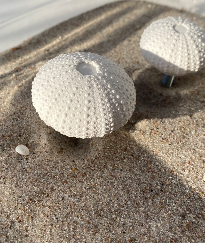 May include: Two white ceramic sea urchin ornaments on a sandy surface. The sea urchins have a textured surface with small bumps.