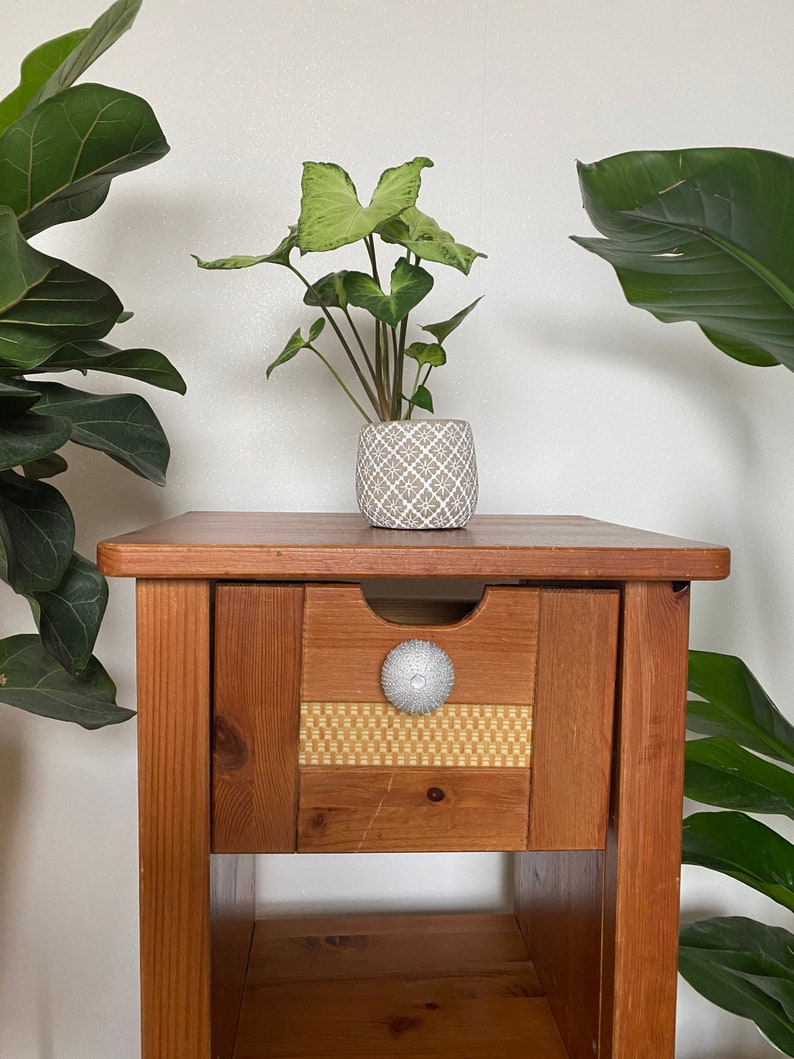 May include: A wooden end table with a single drawer and a lower shelf. The drawer has a white knob with a textured design. A potted plant with green leaves sits on the top of the table.