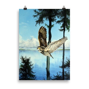 Soaring Owl Amidst the Fir Forest