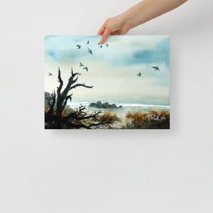 Gulls gathering above driftwood shore - Print (Latvia Shipping)