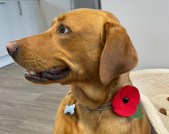 Purple Poppies Animal Hero Remembrance Day Poppy Dog cat pet