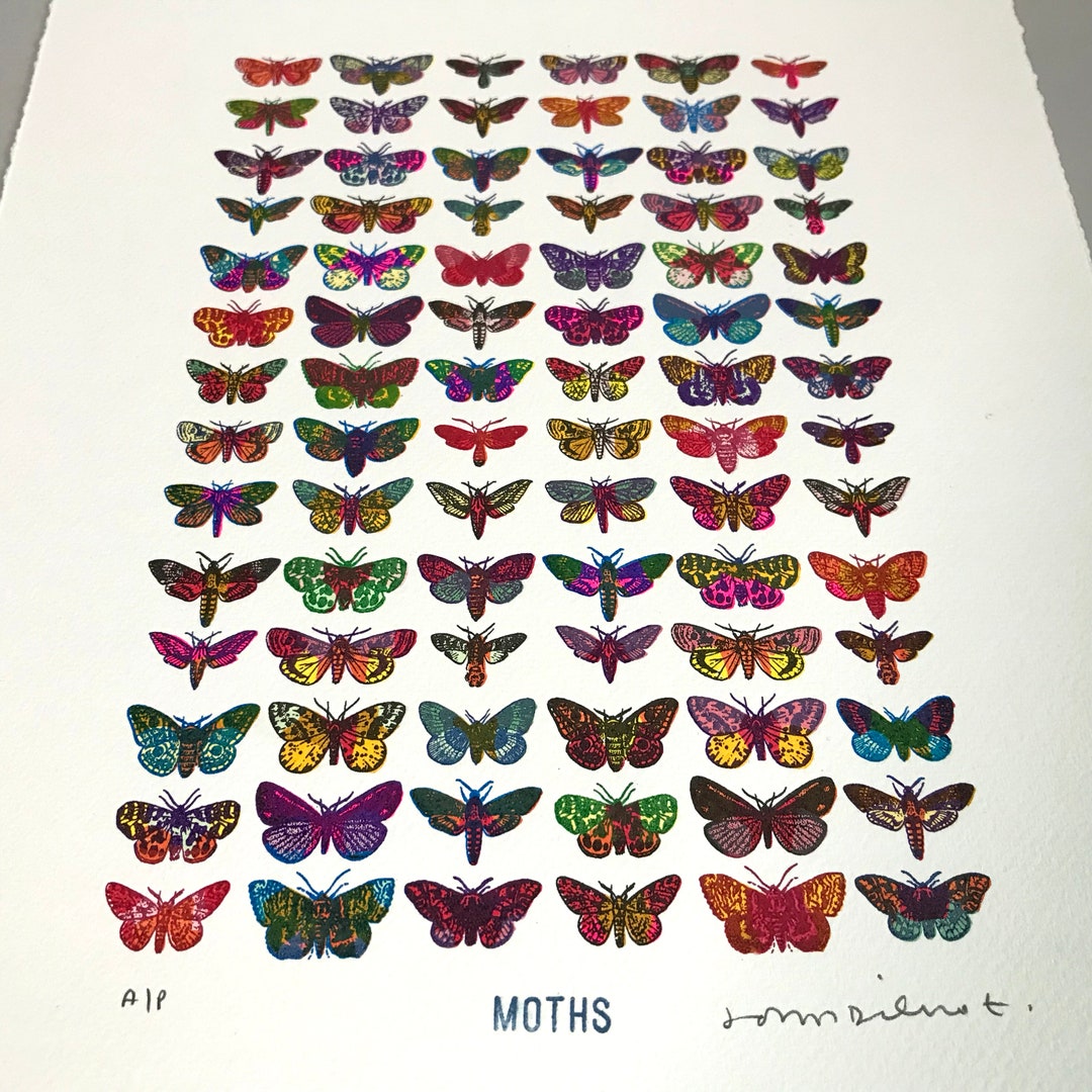 MOTHS proof Sale Multi Colour Original Screen Print on Watercolour