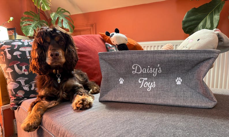 Personalised Dog Toy Storage Box | Dog Toy Box | Pet Toy Box | Puppy Gift | Personalised Doggy Gift | Pet Dog Toy Basket image 2