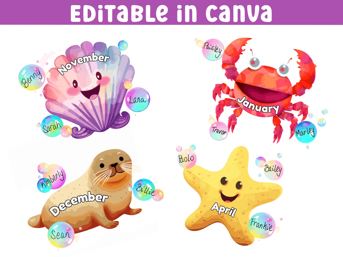 Under the Sea Classroom Decor, Ocean Classroom Theme, Birthday Bulletin