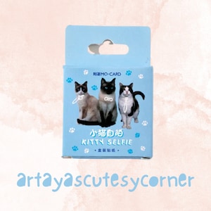 UK Cute Kitty Selfie Cat Lover - Mini Box Stickers - 45pcs - Scrapbook - Journal - Planner - Kawaii Supplies