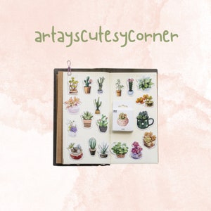Pack d'autocollants de cactus succulents mignons