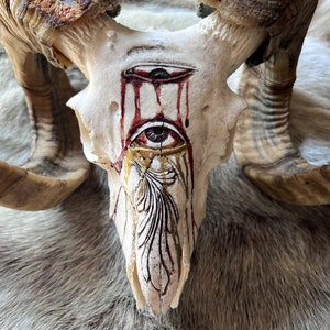 RAM SKULL carving, Real Animal Skull, Ram HORNS, Ram Skull with Raised Eyes Tearing with Blood and Gold Colors Horny Horror Décor