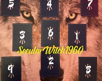 Wer sind meine 9 lebenslangen Animal Spirit Guides/Totems?