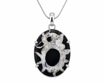 May include: An oval-shaped pendant necklace featuring a black stone with a central white, star-like mineral inclusion. The stone is held by four silver-toned prongs and hangs from a thin, silver-toned snake chain with a polished metal bail.