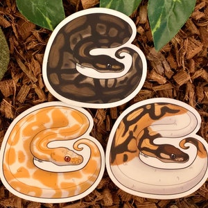 May include: Three illustrated snake stickers. One is a black and brown snake, one is a white and orange snake, and one is a white, orange, and black snake.