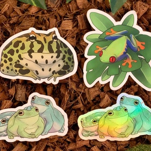 May include: Four frog stickers, featuring a green and brown frog, a green frog on a leaf, and three green frogs with iridescent accents.
