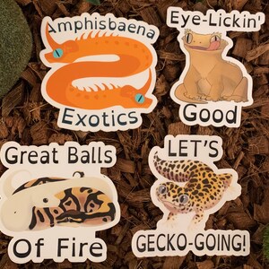 May include: Four stickers featuring cartoon reptiles with humorous text. The stickers feature a gecko, a lizard, a snake, and a worm. The text on the stickers reads "Eye-Lickin' Good", "Great Balls of Fire", "LET'S GECKO-GOING!" and "Amphisbaena Exotics".