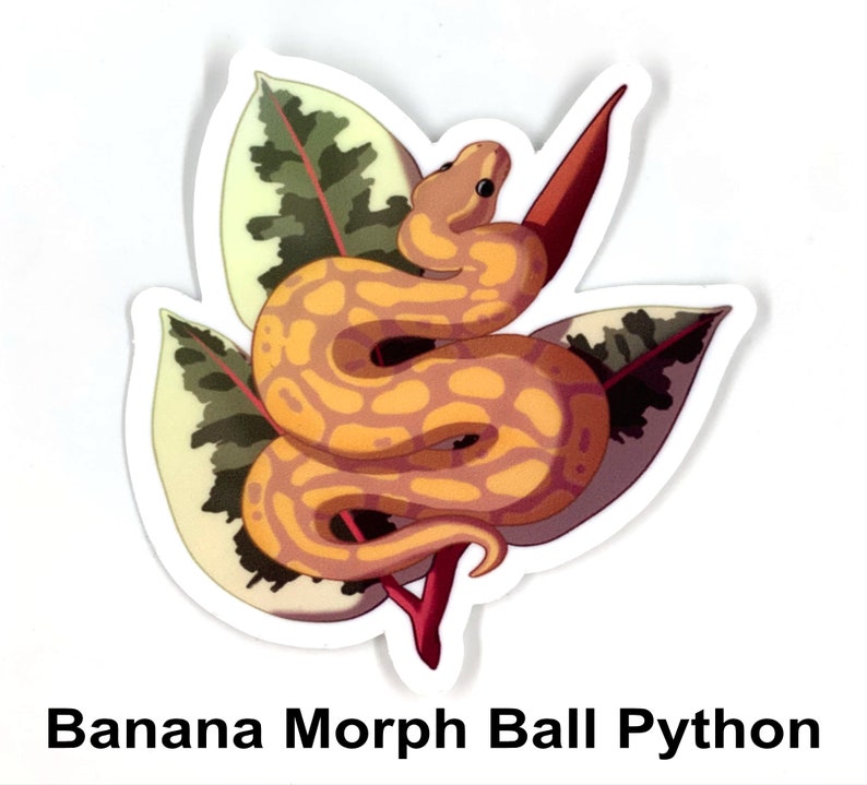 Ball python banana morph decal sticker waterproof weather etsy