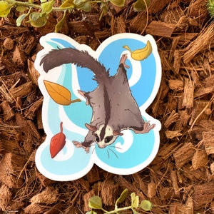 Sugar Glider Decal / Sticker, waterproof, weather resistant