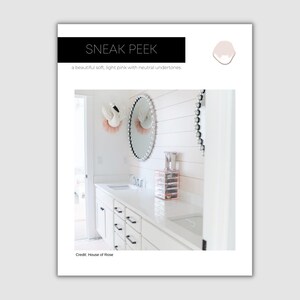 Agreeable Gray Sherwin Williams Paint Palette Modern Neutral - Etsy